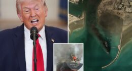 Trump makes new foul-mouthed threat to Iran: 'Open the F---inâ Strait